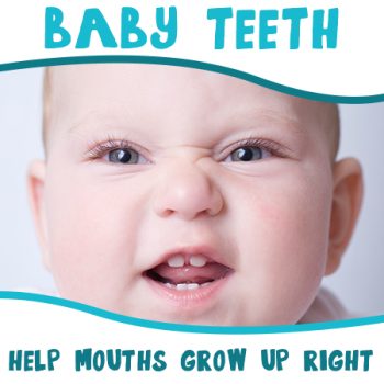 Bellevue dentists, Dr. Mack & Dr. Wachter of Family Dentistry of Bellevue, discuss the importance of baby teeth in setting the stage for good oral health later in life.