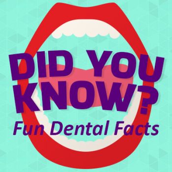 Bellevue dentists, Dr. Mack & Dr. Wachter of Family Dentistry of Bellevue, share some fun, random dental facts. Did you know…?